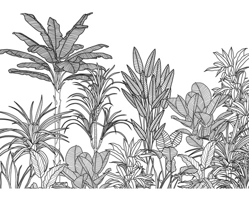 Papier peint panoramique intissé LJX7-048 Le Jardin Savanna 7 pces 350 x 250 cm Illustration de différentes plantes tropicales