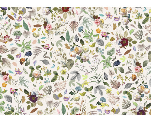 Papier peint panoramique intissé LJX7-064 Le Jardin Les Quatre Saisons 7 pces 350 x 250 cm Papier peint panoramique intissé LJX7-064 Le Jardin Les Quatre Saisons 7 pces 350 x 250 cm