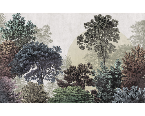 Papier peint panoramique intissé LJX8-058 Le Jardin Bois Brumeux 8 pces 400 x 250 cm Papier peint avec motif de forêt