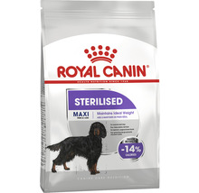 Royal Canin Sterilised Maxi Hundefutter für kastrierte, ausgewachsene Hunde