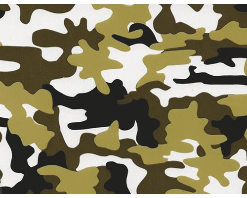 Film d'impression à l'eau Tarn CA-NR-013-02 verdâtre 100 x 50 cm Motif avec des couleurs camouflage