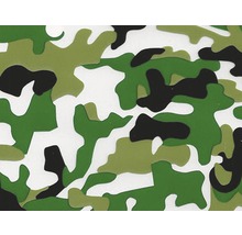 Wassertransferdruck Folie Tarn CA-NR-013-03 grünlich 100 x 50 cm