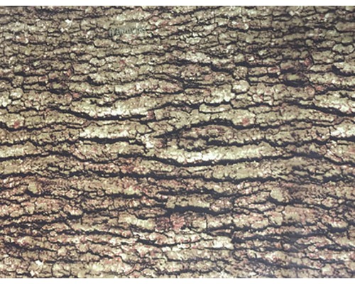 Film d'impression à l'eau camouflage CA-R-004 naturel 100 x 50 cm Gros plan d''une écorce d''arbre à la texture rugueuse