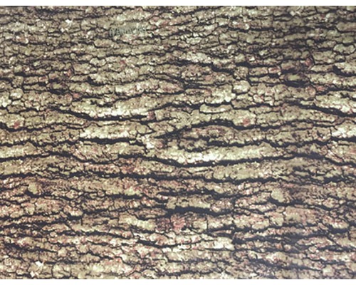 Film d'impression à l'eau camouflage CA-R-004 naturel 100 x 50 cm