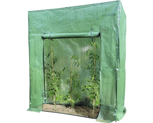 Gewächshaus mit drei Pflanzen