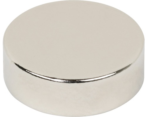 Aimant circulaire au néodyme Ø 15x5 mm, lot de 6 Aimant rond en néodyme