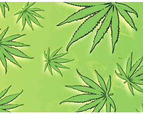 Film d'impression à l'eau camouflage CA-R-038 100 x 100 cm Illustration avec des feuilles de cannabis