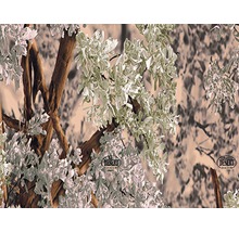 Desert Shadow Camouflage Muster