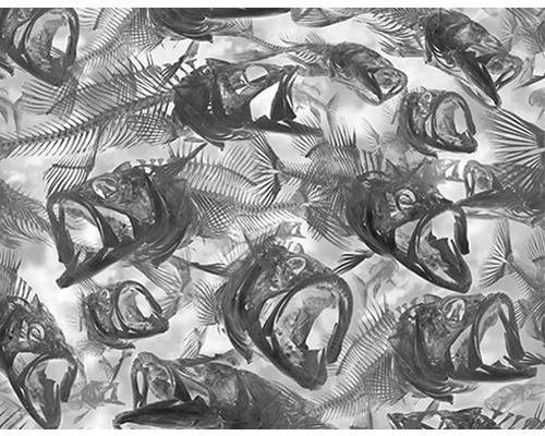 Film d'impression à l'eau camouflage CA-R-050 100 x 100 cm Image d''un motif avec des squelettes de poissons