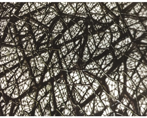 Film d'impression à l'eau camouflage CA-R-029 marron 100 x 100 cm Motif abstrait avec lignes entrecroisées