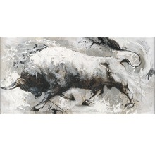 Leinwandbild Original Bull 90x180 cm