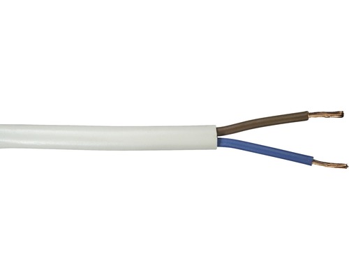HSB Tuyau flexible H03VV-F 2x0,75 mm² 10 m blanc Câble électrique à deux conducteurs