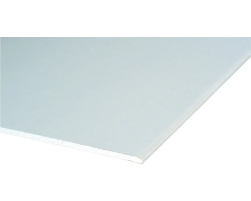 Beschichtete Bauplatte