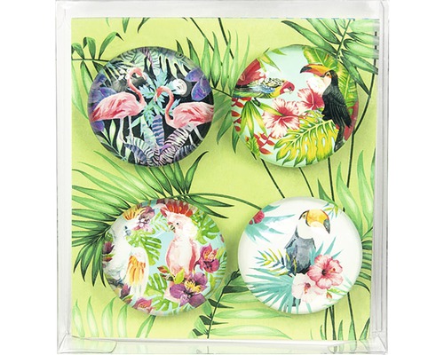 Quatre aimants tropicaux avec des motifs de flamants roses, de cacatoès et de toucans