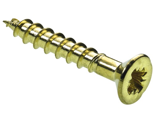 Holzschraube mit Torx Antrieb