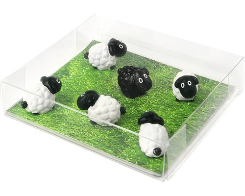 Troupeau de moutons décoratif dans une boîte transparente sur un pré vert