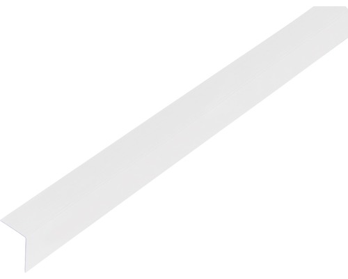 Profilé d'angle PVC transparent 20x20x1 mm, 1 m