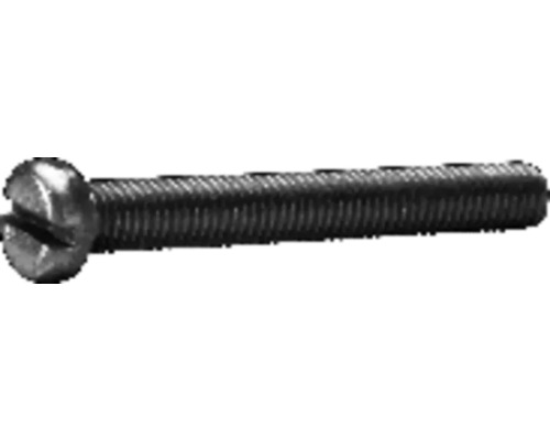 Schlitzschraube im Detail