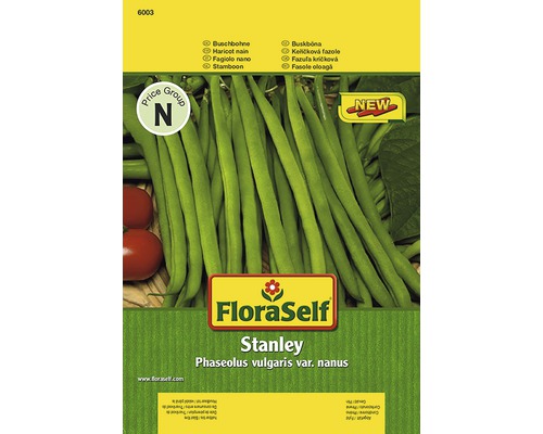 Haricot nain 'Stanley' FloraSelf semences non-hybrides semences de légumes