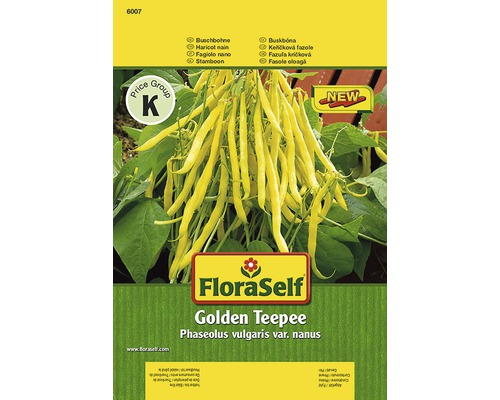 Haricot nain 'Golden Teepee' FloraSelf semences non-hybrides semences de légumes