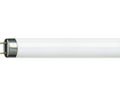 Tube fluorescent en forme de tube Philips G13 / 18 W ( ) blanc 1300 lm 6500 K blanc lumière du jour