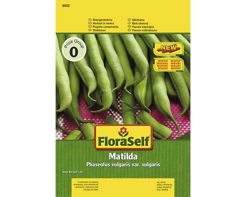 Haricot à rames 'Matilda' FloraSelf semences non-hybrides semences de légumes Sachet de graines de haricots grimpants variété Matilda de FloraSelf