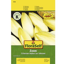 FloraSelf Zoom Zichorien Saatgutpackung