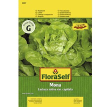 FloraSelf Mona Kopfsalat Samenpackung