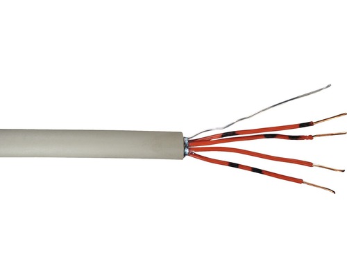 Câble téléphonique compatible ISDN JY(ST)Y 2x2x0.6 mm² gris, marchandise au mètre sur mesure disponible dans votre magasin Hornbach Câble électrique avec plusieurs conducteurs