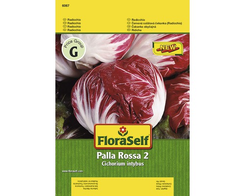 Radis 'Palla Rossa 2' FloraSelf semences non-hybrides semences de légumes