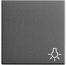 Insert d''interrupteur d''éclairage avec symbole