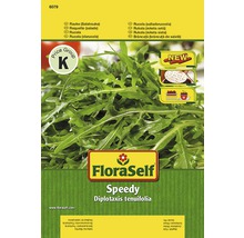 Roquette 'Speedy' FloraSelf semences non-hybrides semences de légumes-thumb-0