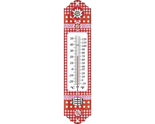 Thermomètre intérieur-extérieur motif edelweiss
