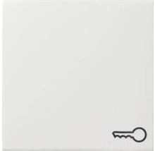 Insert d''interrupteur avec symbole de clé