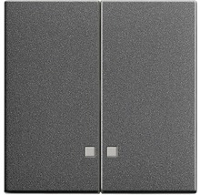 Double interrupteur pour installation électrique
