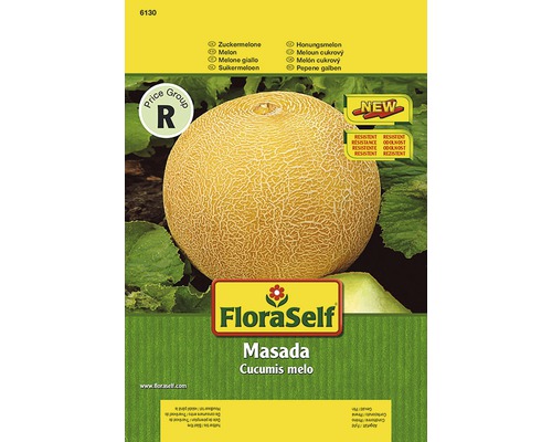 Melon 'Masada' FloraSelf semences de légumes hybrides F1