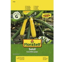 Paquet de graines de courgettes FloraSelf Soleil