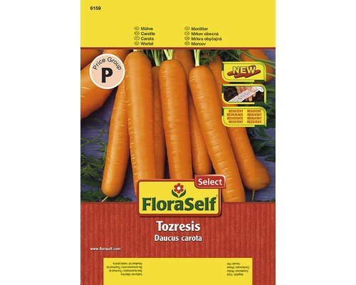 Carotte 'Tozresis' FloraSelf Select semences de légumes hybrides F1 ruban de graines Graines de carotte FloraSelf Tozresis