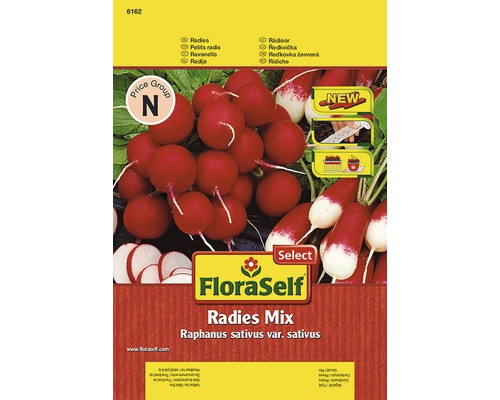 Radis FloraSelf Select semences non-hybrides semences de légumes ruban de graines 5 m