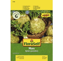 FloraSelf Mars Knollensellerie Samenpackung