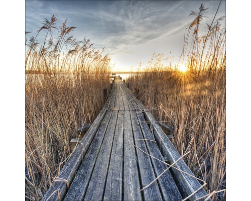 Holzsteg zwischen Schilf mit Blick auf einen See bei Sonnenuntergang