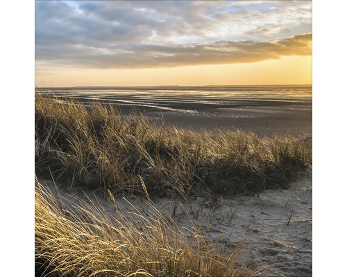 Paysage avec dunes d''herbe et vasière