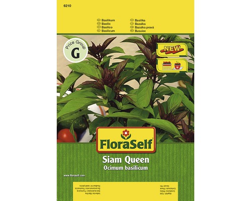 Basilic 'Siam Queen' FloraSelf semences non-hybrides semences de fines herbes