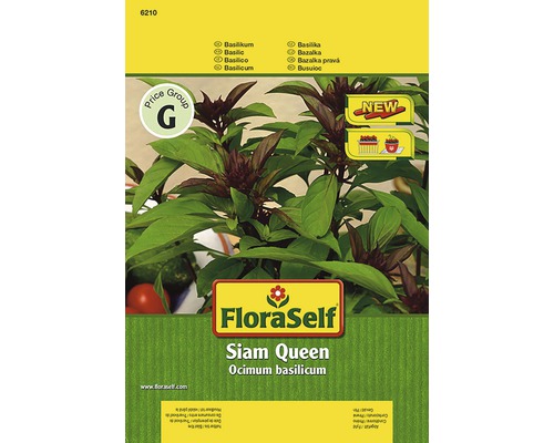 Basilic 'Siam Queen' FloraSelf semences non-hybrides semences de fines herbes FloraSelf Siam Queen Paquet de graines de basilic