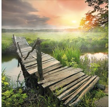 Pont en bois au-dessus d''une petite rivière dans un environnement rural