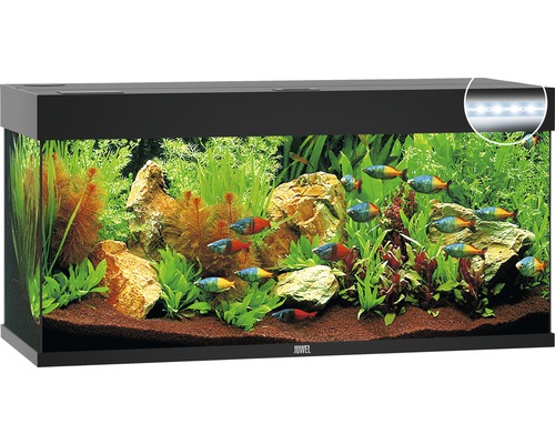 Aquarium Juwel Rio 240 LED sans meuble bas noir