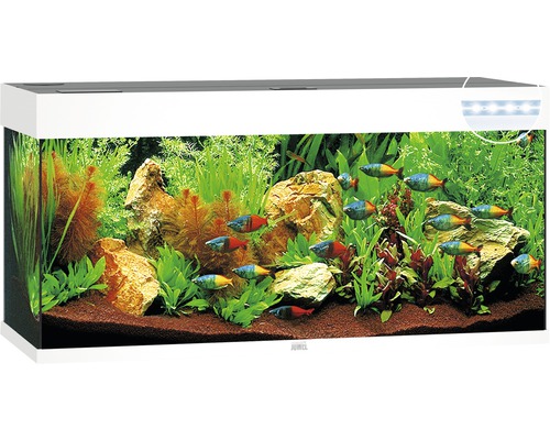 Aquarium Juwel Rio 240 LED sans meuble bas blanc