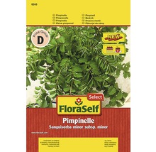 Sachet de graines de pimprenelle FloraSelf