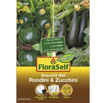 FloraSelf Kit de culture Rondini et courgettes
