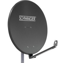 Parabole satellite de Schwaiger